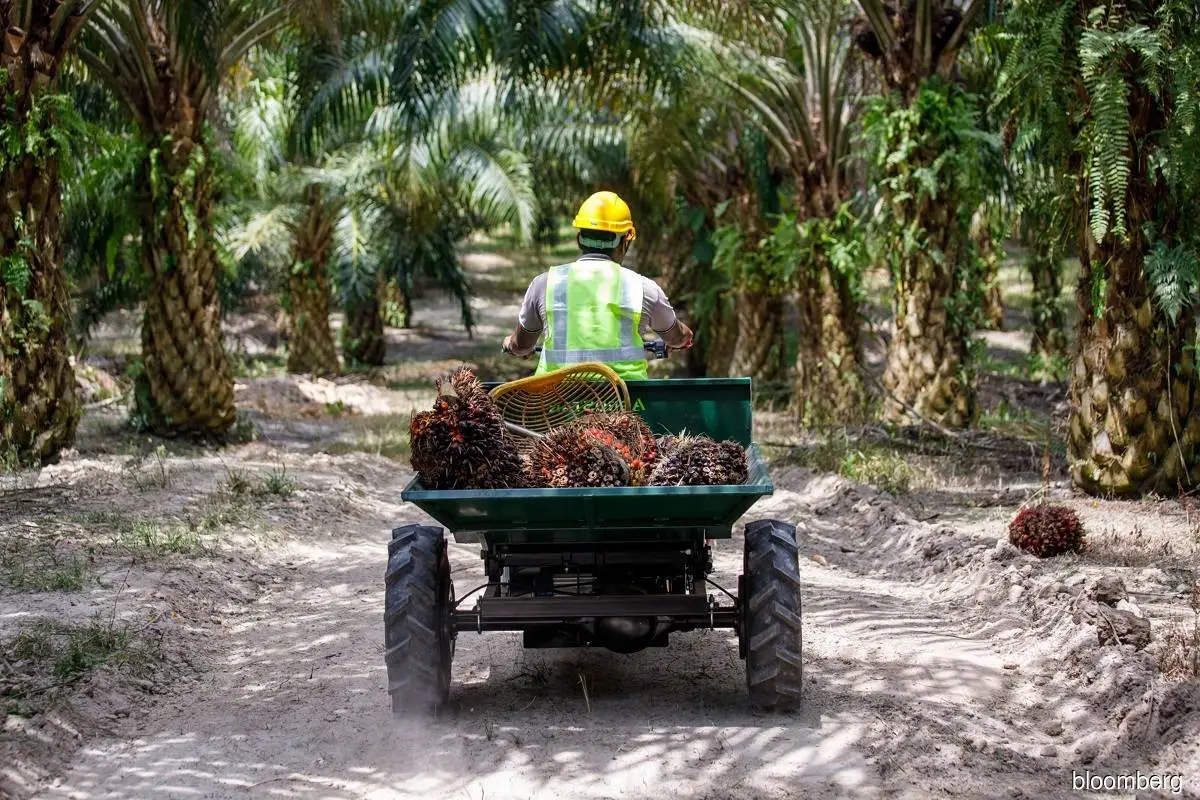 Farmers in the field